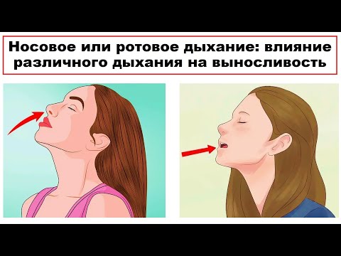 Видео: Носовое или ротовое дыхание: влияние различного дыхания на выносливость