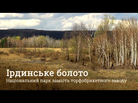 Видео: Ірдинське болото на Черкащині знищували десятиліттями. Його ще можна врятувати