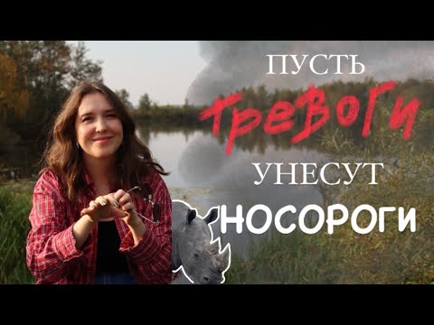 Видео: ПОНЯТЬ И ОТПУСТИТЬ ТРЕВОГУ | Правильные вопросы о твоем чувстве