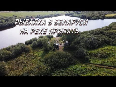 Видео: РЫБАЛКА В БЕЛАРУСИ НА РЕКЕ ПРИПЯТЬ