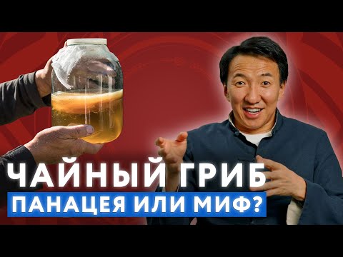Видео: Польза и вред Чайного Гриба для здоровья // #докторжимба