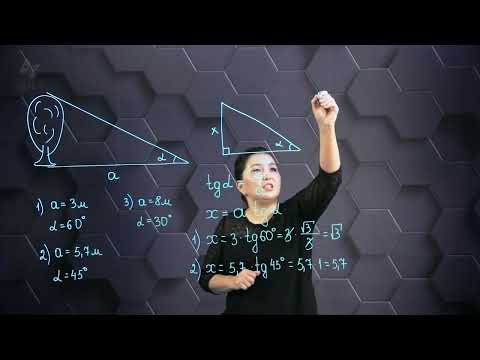 Видео: Түзу мен жазықтықтың перпендикулярлығы. Практикалық бөлім. 10 сынып.