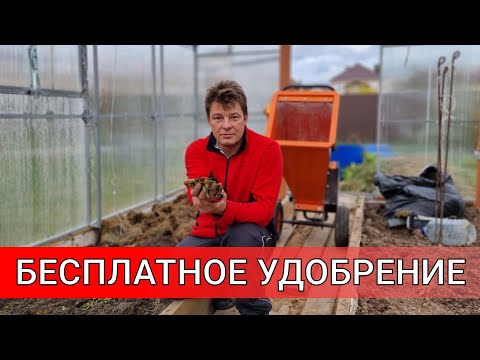 Видео: хочу урожай в следующем году   делаю осенью органические грядки