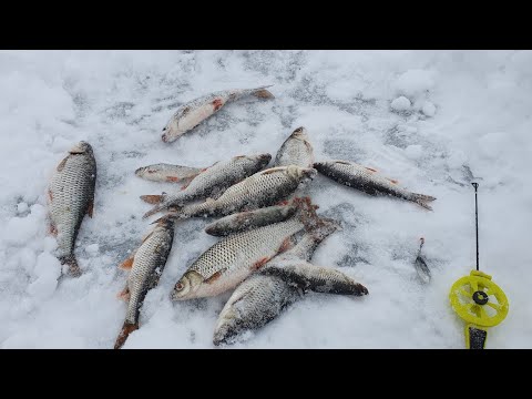 Видео: ловля на Лепесток. Репино.
