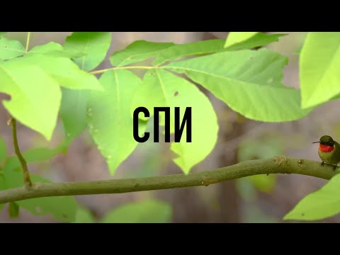 Видео: СПИ С БИБЛИЕЙ: 8 Часов 50+ Наполненных Мудростью Библейских Мест Писания