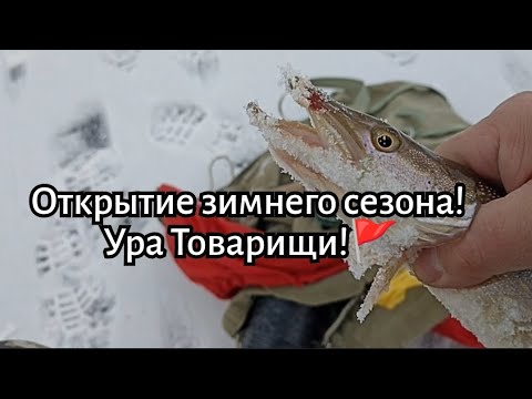 Видео: 27.10.25. Открытие зимнего сезона! Ура Товарищи!