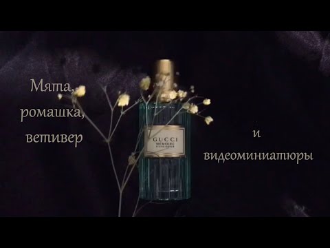 Видео: Ароматы и видеоминиатюры: мята, ромашка, ветивер