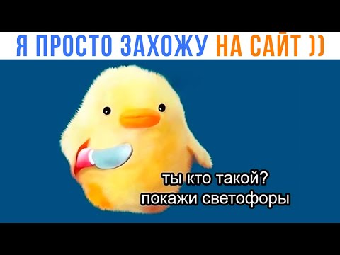 Видео: ПОКАЖИ СВЕТОФОРЫ!!! ))) | Приколы | Мемозг 1393