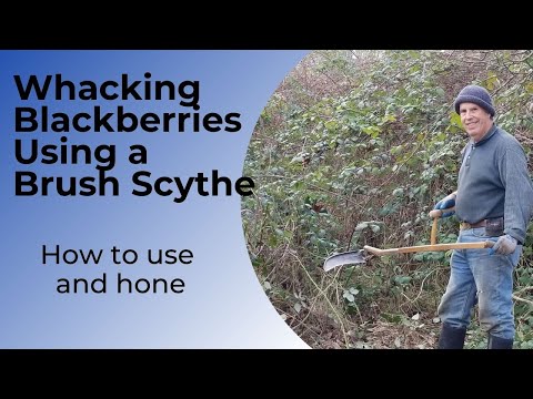 Видео: Уборка ежевики кусторезной косой