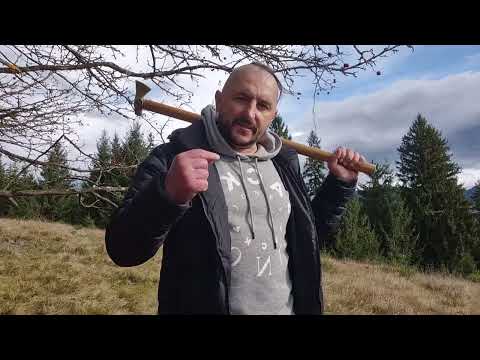 Видео: Форма Смотрич