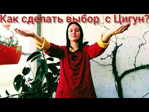 Видео: Как сделать выбор с помощью Цигун?