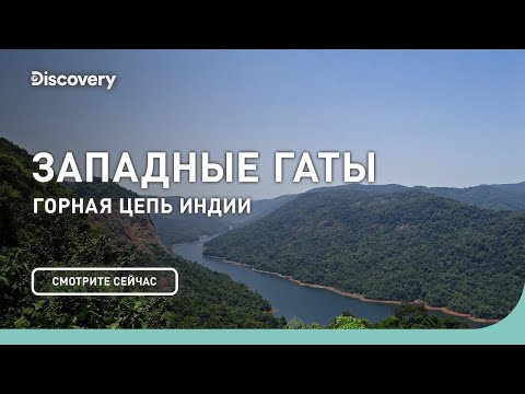 Видео: Западные Гаты | Планета Мутантов | Discovery