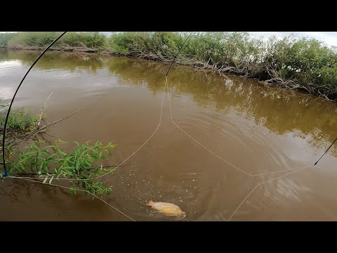 Видео: рыбалка на паук подъёмник поехали кататься на моторках наловили Сазанов