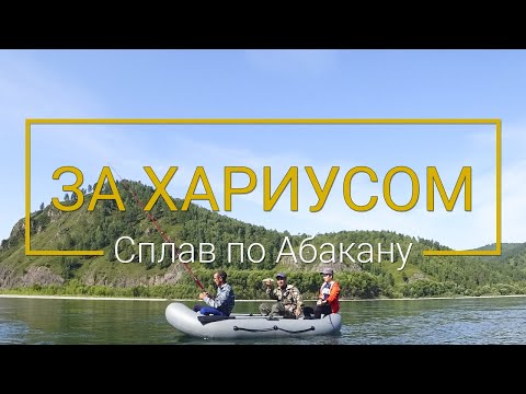 Видео: Сплав по реке Абакан. Ловля хариуса | Sony FDR-X3000