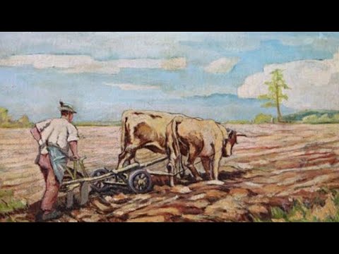 Видео: Орачът и гъските