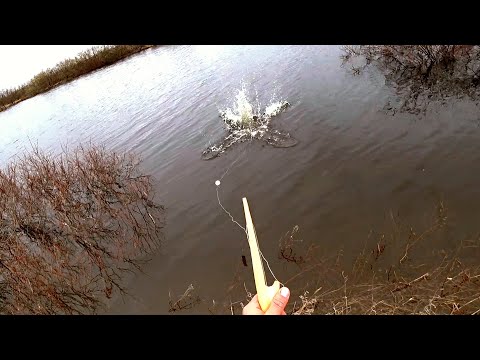 Видео: ДИКОВИННАЯ СНАСТЬ!!! Рыбалка на хапугу!!! я в восторге от неё