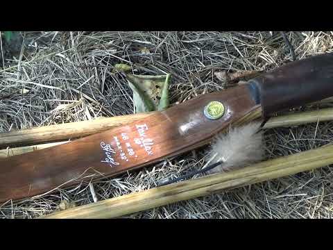 Видео: Хороший лук для всадников Fox Black