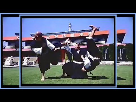 Видео: Применение Сёриндзи Кэмпо, методы самообороны, помогающие жить, рандори, эмбу.少林寺 拳法 実 戦