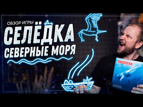 Видео: Селёдка: Северные моря - Обзор настольной игры