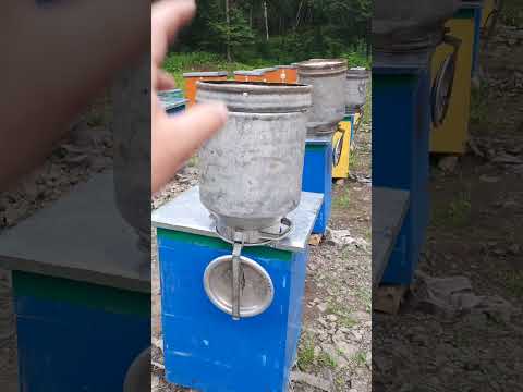 Видео: Кочевая пасека в дальневосточной тайге. Приехал за липой