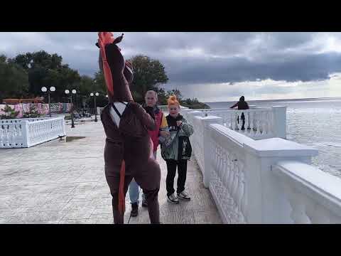 Видео: 21 октября 2025 г.