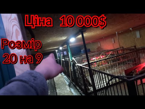 Видео: Великий свинарник❗️ Як будували та якi розмiри клiток. Вiдповiдi на запитання