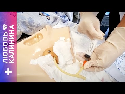 Видео: 15. Катетеризация мочевого пузыря женщинам | Л.Калинина