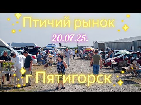 Видео: Голуби цены Птичий рынок г Пятигорск