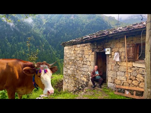 Видео: Жизнь в отдаленной турецкой деревне | Когда на улице паслись коровы, разразилась ужасная гроза