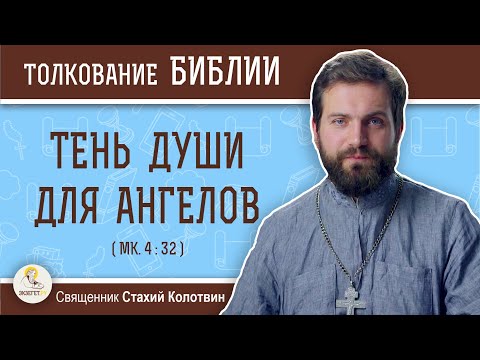 Видео: Тень души для ангелов (Мк. 4:32)  Священник Стахий Колотвин