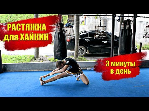 Видео: как растянуться с нуля РАСТЯЖКА ДЛЯ ХАЙ КИКА растяжка ног для начинающих в домашних условиях