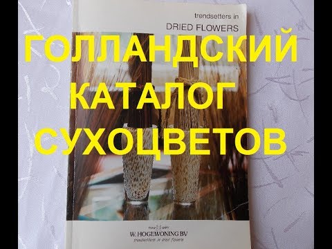 Видео: ПОПУЛЯРНЫЕ СУХОЦВЕТЫ 20 ЛЕТ НАЗАД!!!