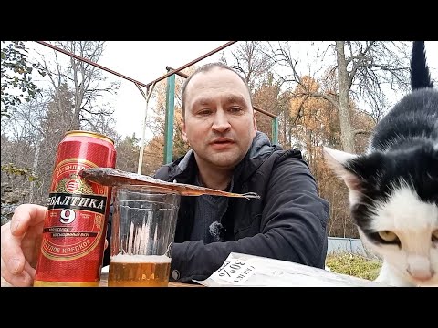 Видео: Пиво Балтика 9 с рыбой. #обзор #природа #пиво 