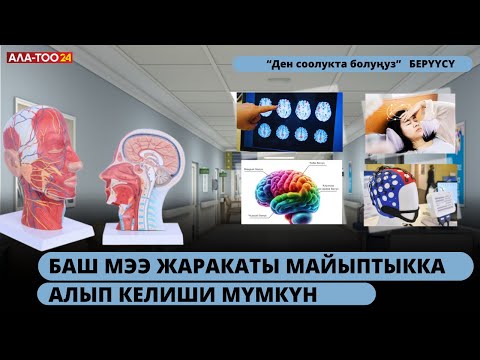 Видео: Баш мээ жаракаты майыптыкка алып келиши мүмкүн
