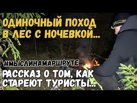 Видео: Одиночный поход в лес. Картошка в фольге на костре. Как стареют туристы.