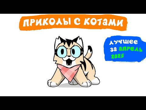 Видео: Приколы с котами. ЛУЧШЕЕ ЗА АПРЕЛЬ 2025 | Мемозг