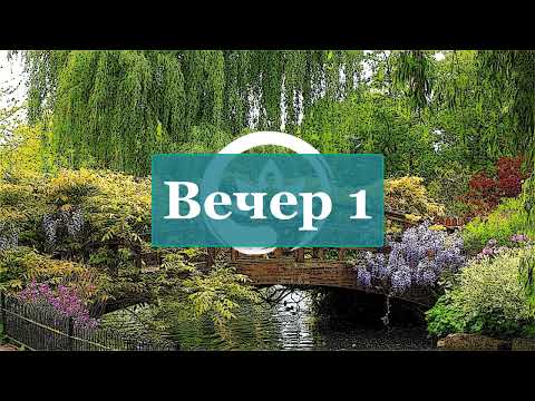 Видео: Детокс день1 чандра намаскар