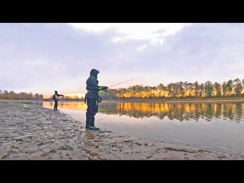 Видео: Рыбалка Спиннинг Берег. ЛУЧШАЯ ПРИМАНКА НА ОКУНЯ! Выручает даже в плохой клёв