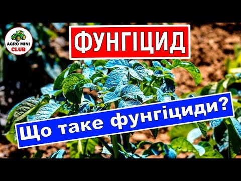 Видео: Що таке Фунгіцид? Для чого потрібні фунгіциди? Види фунгіцидів