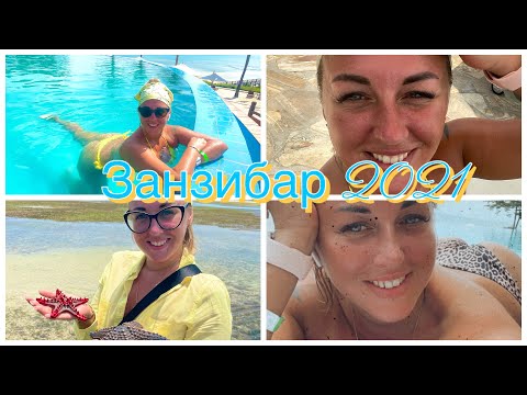 Видео: Невероятные приключения на о. Занзибар