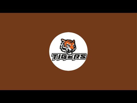 Видео: ХК TIGERS  5:5  ХК СТРИЖИ