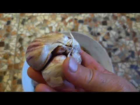 Видео: Выбор чеснока на посадку