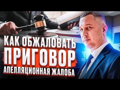 Видео: Апелляционная жалоба | Как обжаловать приговор