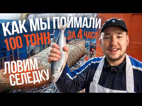 Видео: Ловим Селедку: Подъемы 100+ Тонн! Жизнь Рыбака в Море - Будни на рыболовецком судне