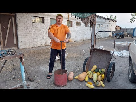 Видео: Теперь будет удобно. Поросята на прогулке.