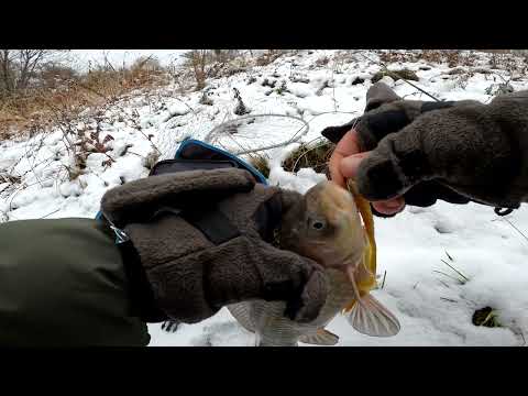 Видео: Пішов за хижаком а знайшов зовсім іншу рибу. Риболовля спінінгом з берега. Осінь 2024
