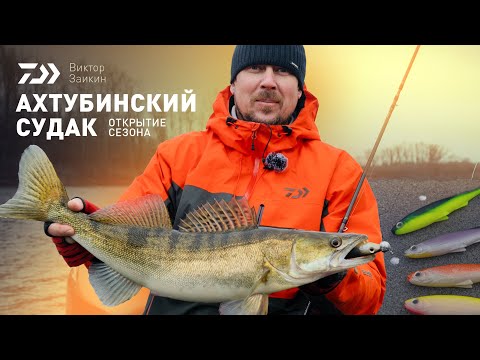 Видео: АХТУБИНСКИЕ СУДАКИ x ВИКТОР ЗАИКИН