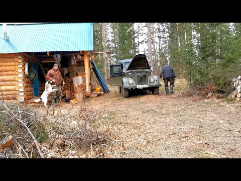 Видео: ТАЁЖНЫЕ БУДНИ.ПРОВЕРЯЕМ ПУТИКИ. ОКТЯБРЬ 2022. ЧАСТЬ 1.