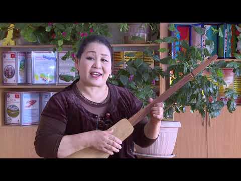 Видео: Билим менен бийикте 26.03.2019