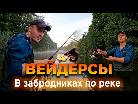 Видео: Впервые надел вейдерсы для рыбалки и вышел на реку. Тестируем забродный полукомбинезон FrontMan.